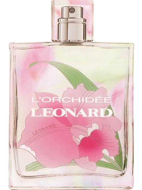 L'Orchidée — Léonard