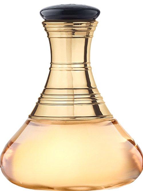 Wild Elixir — Shakira