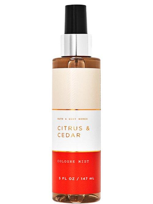 Citrus & Cedar — Bath & Body Works