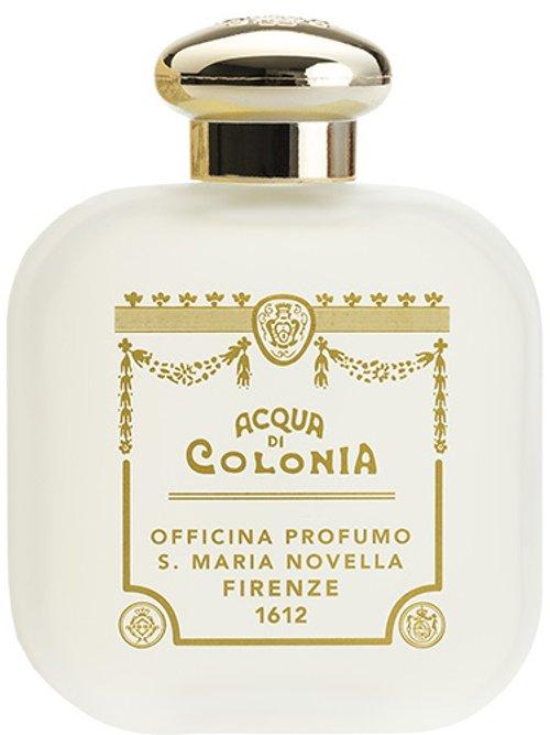 Iris — Santa Maria Novella
