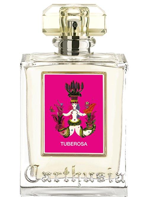 Tuberosa — Carthusia