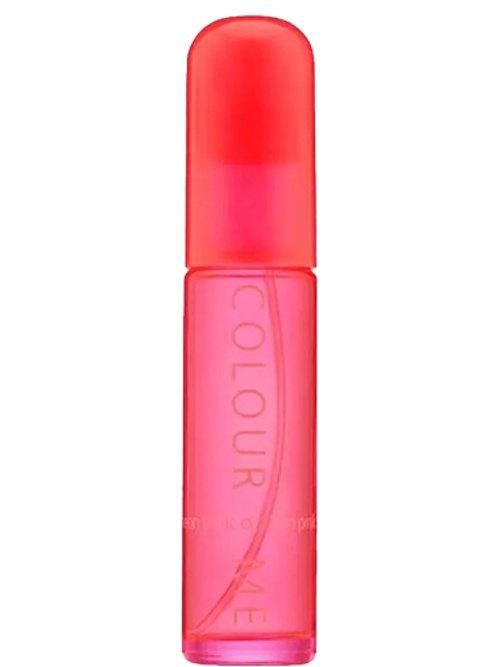 Colour Me Neon Pink — Milton-Lloyd