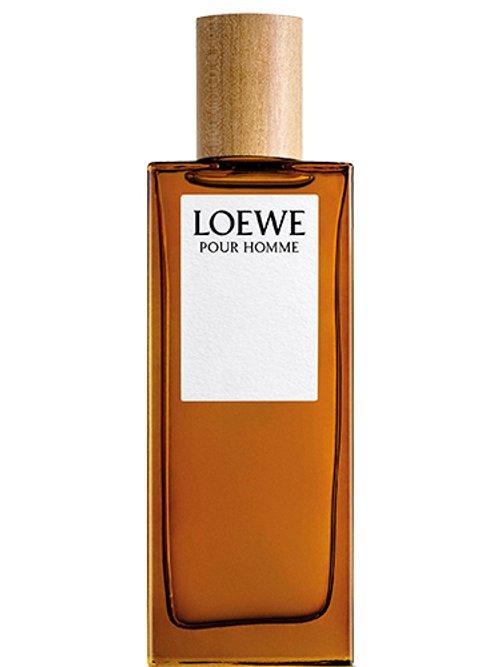 Loewe Pour Homme — Loewe