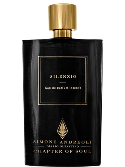 Silenzio — Simone Andreoli