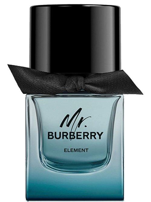 Mr. Burberry Element — Burberry