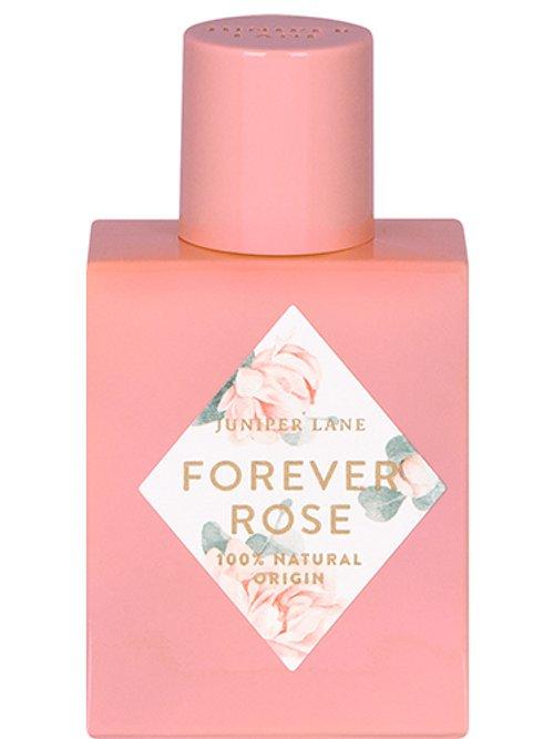 Forever Rose — Juniper Lane