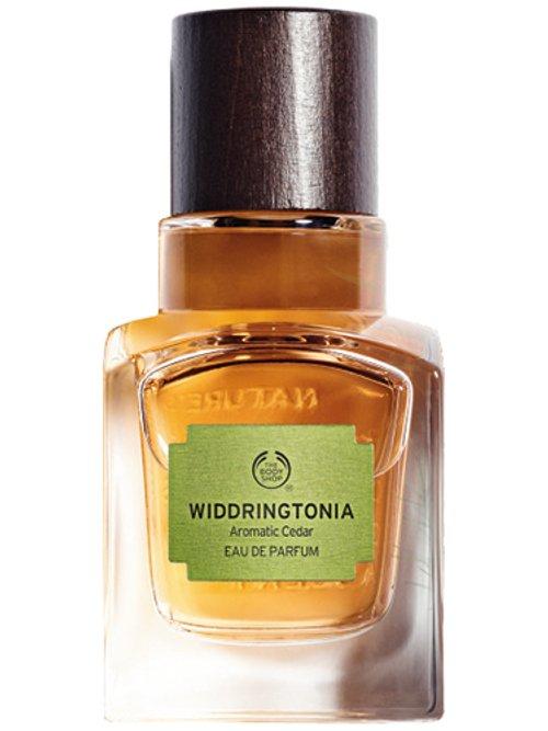 Elixirs Of Nature : Widdringtonia — The Body Shop