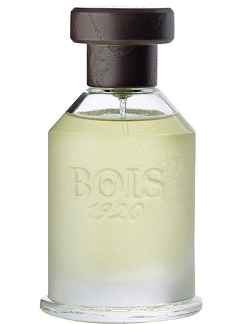 Agrumi Amari di Sicilia — Bois 1920