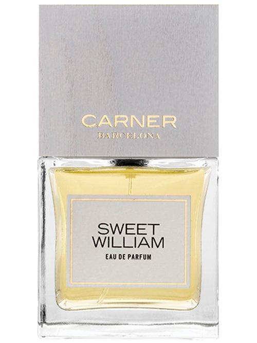 Sweet William — Carner Barcelona