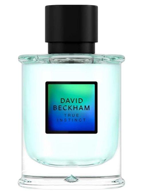 David Beckham True Instinct — David Beckham