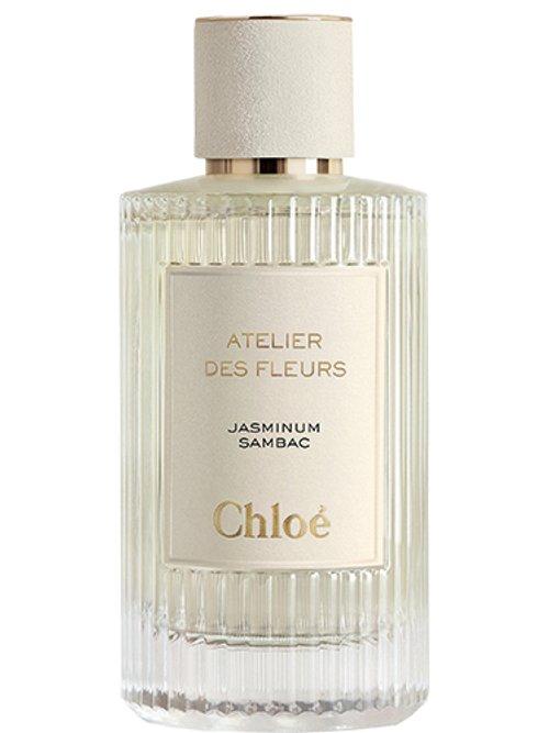 Jasminum Sambac — Chloé