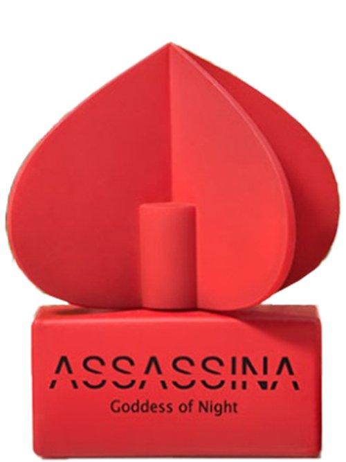 Goddess Of Night — Assassina