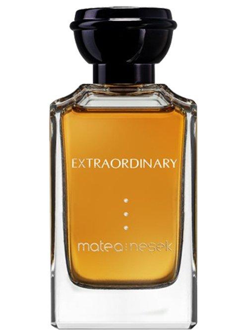 Extraordinary — Matea Nesek