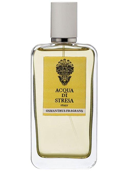 Osmanthus — Acqua Di Stresa