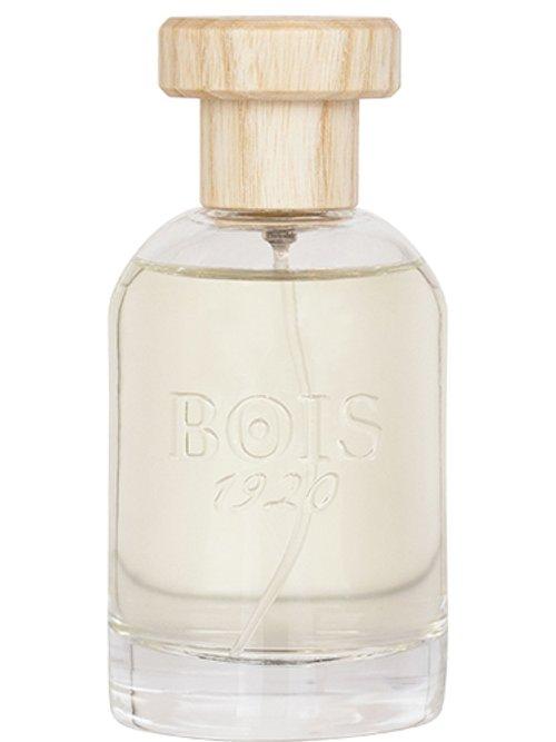 Ancora Amore — Bois 1920