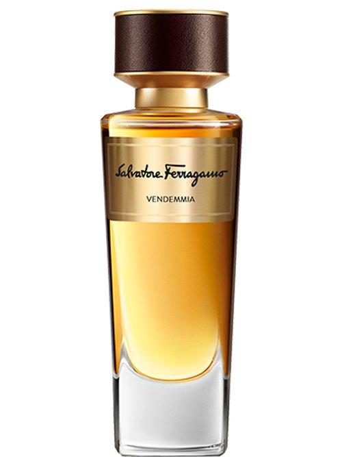 Vendemmia — Salvatore Ferragamo