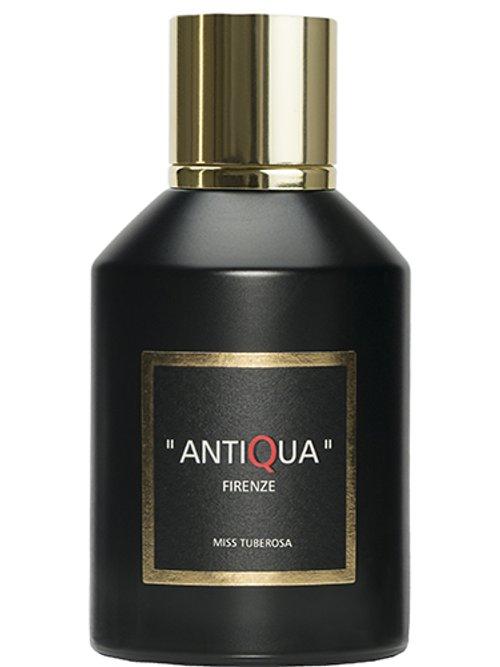 Miss Tuberosa — Antiqua Firenze