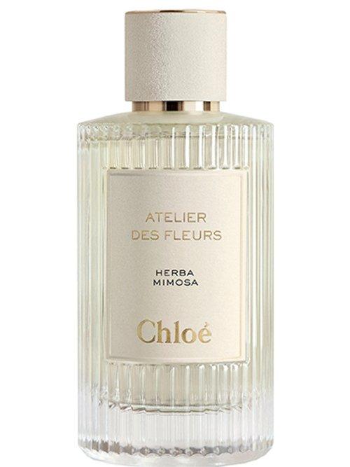 Herba Mimosa — Chloé