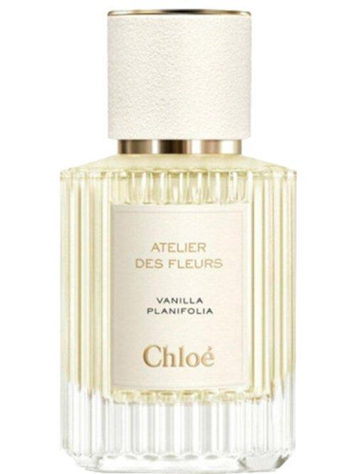 Vanila Planifolia — Chloé