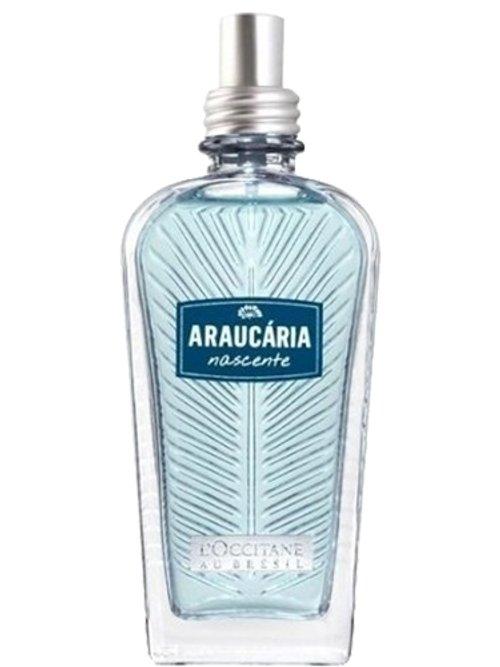 Araucária Nascente — L'Occitane