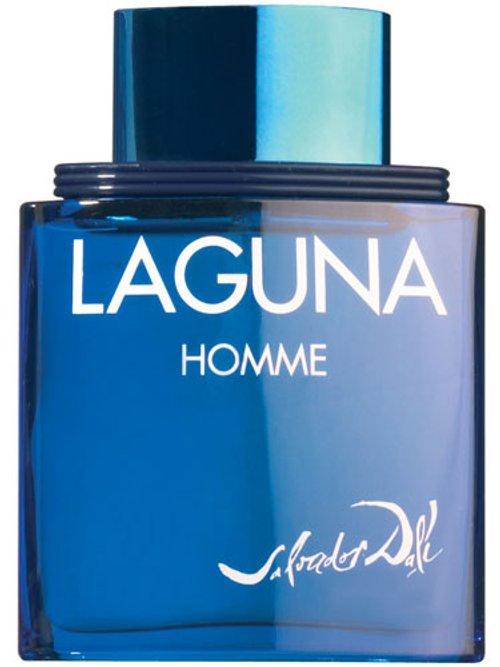 Laguna Homme — Salvador Dalí