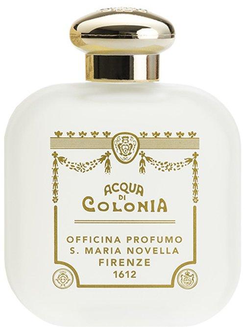 Verbena — Santa Maria Novella