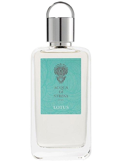 Lotus — Acqua Di Stresa