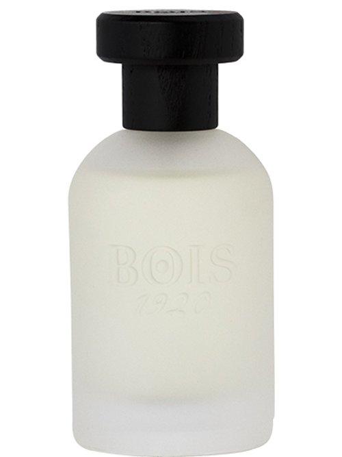 Sandalo e The — Bois 1920