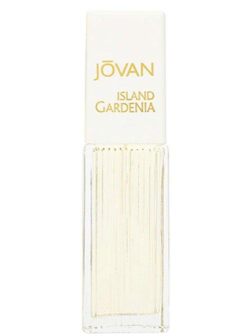 Jovan Island Gardenia — Jovan