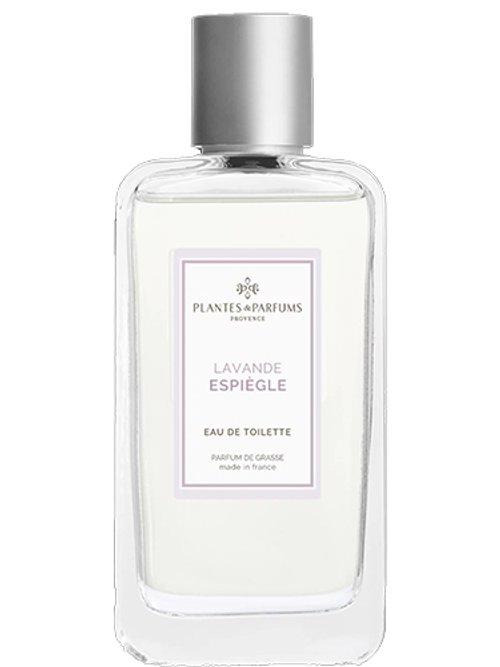 Lavande Espiègle — Plantes & Parfums