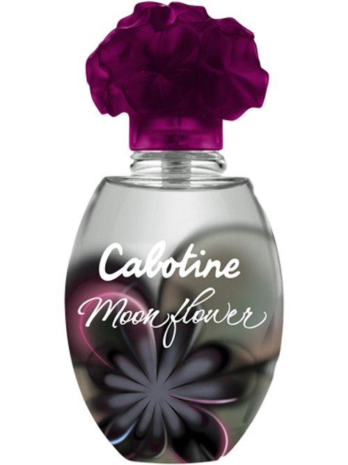 Cabotine Moonflower 2010 — Grès