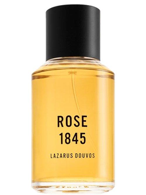 Rose 1845 — Lazarus Douvos
