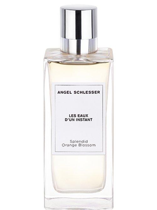 Splendid Orange Blossom — Angel Schlesser