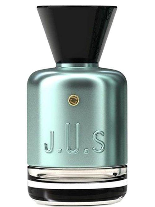 Icyfizz — J.U.S