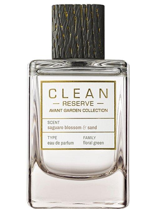 Saguaro Blossom & Sand — Clean