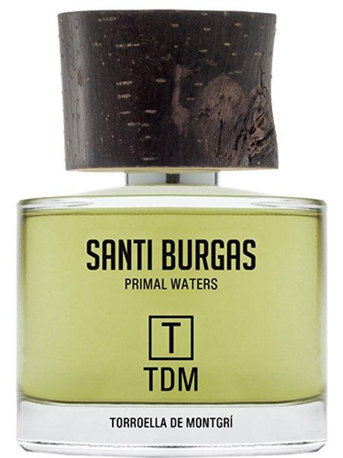 T Tdm — Santi Burgas