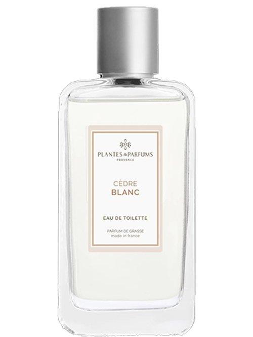 Cèdre Blanc — Plantes & Parfums