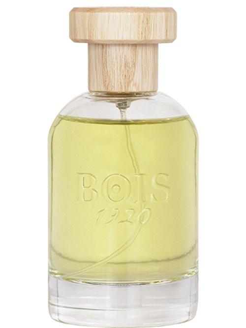 Magia — Bois 1920