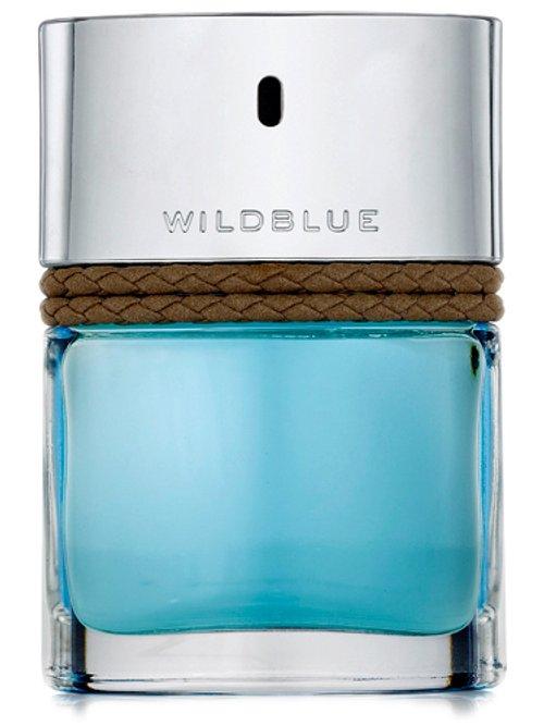 Wildblue For Men — Banana Republic