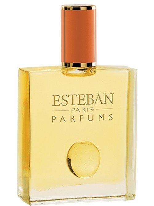Tourbillon de thé — Estéban