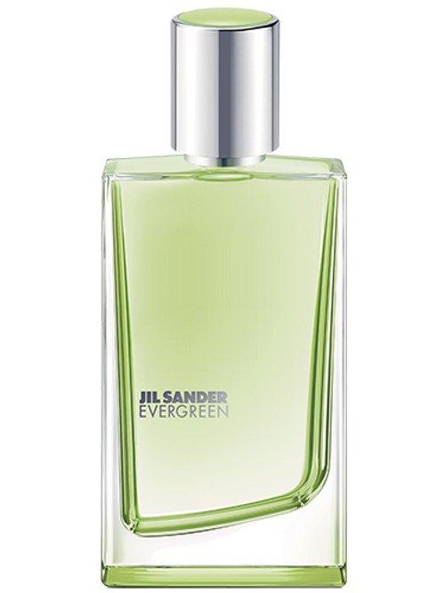 Evergreen — Jil Sander