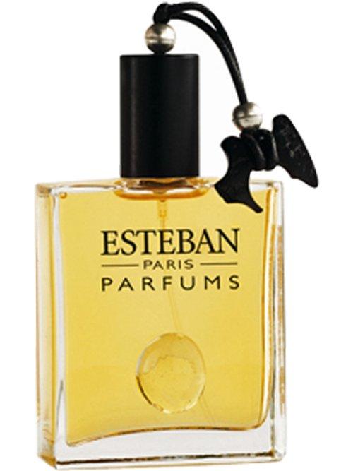 Bois Velours — Estéban