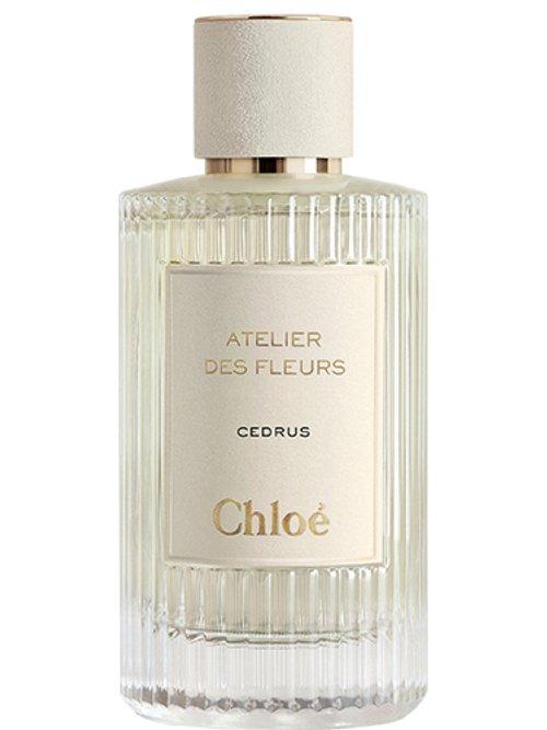 Cedrus — Chloé