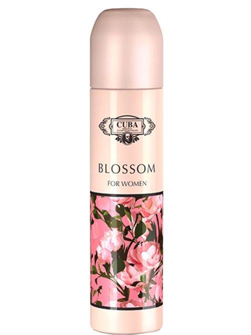 Cuba Blossom — Cuba