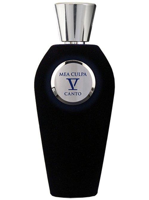Mea Culpa — V Canto