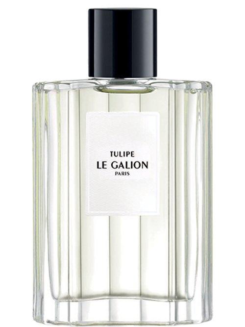 Tulipe — Le Galion
