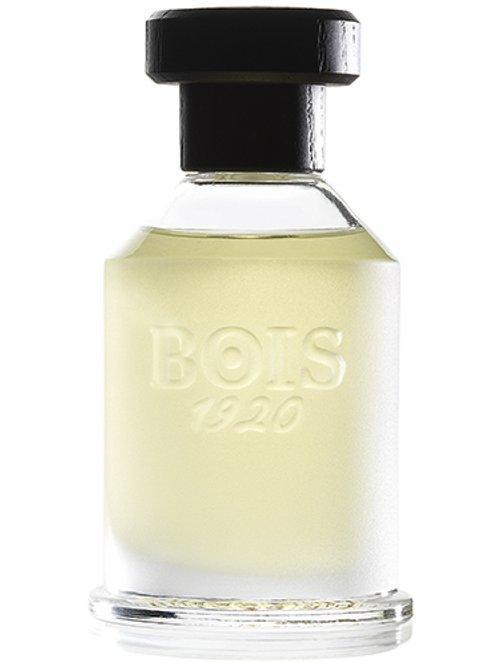 Rosa 23 — Bois 1920