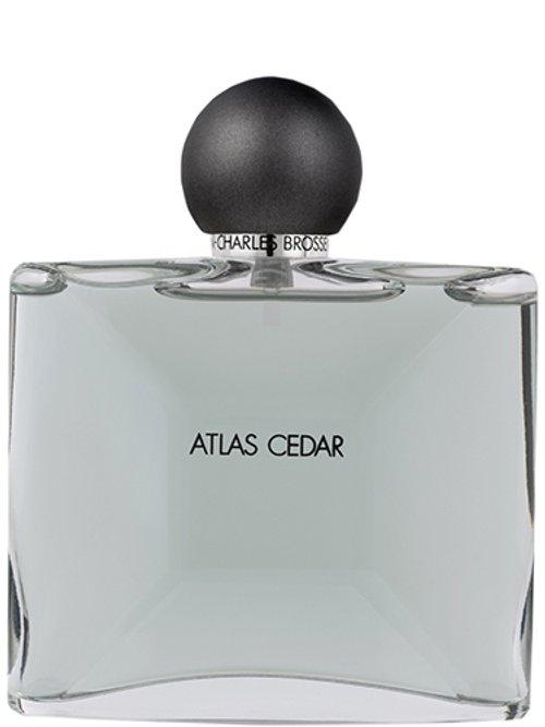 Atlas Cedar — Jean-Charles Brosseau