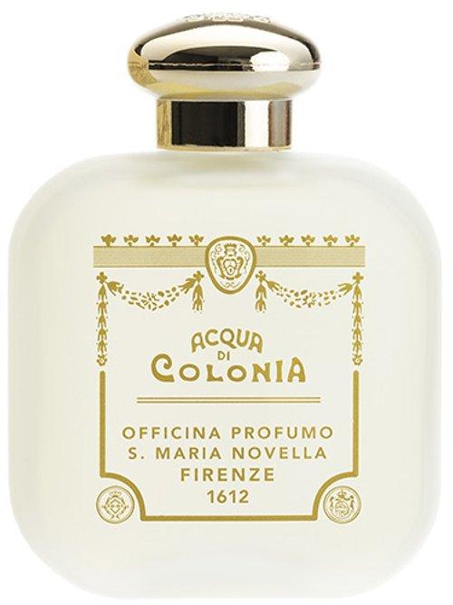 Violetta — Santa Maria Novella