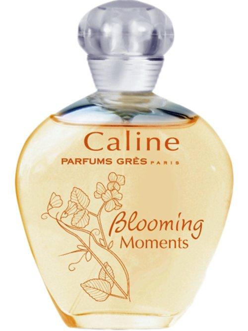 Caline Blooming Moments 2010 — Grès